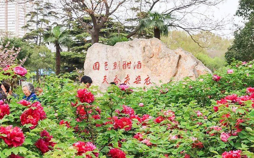 &#20061;&#24030;&#25163;&#26426;&#29256;&#30331;&#24405;&#20837;&#21475;&#45;&#20061;&#24030;&#65288;&#20013;&#22269;&#65289;&#23448;&#26041;&#32593;&#31449;