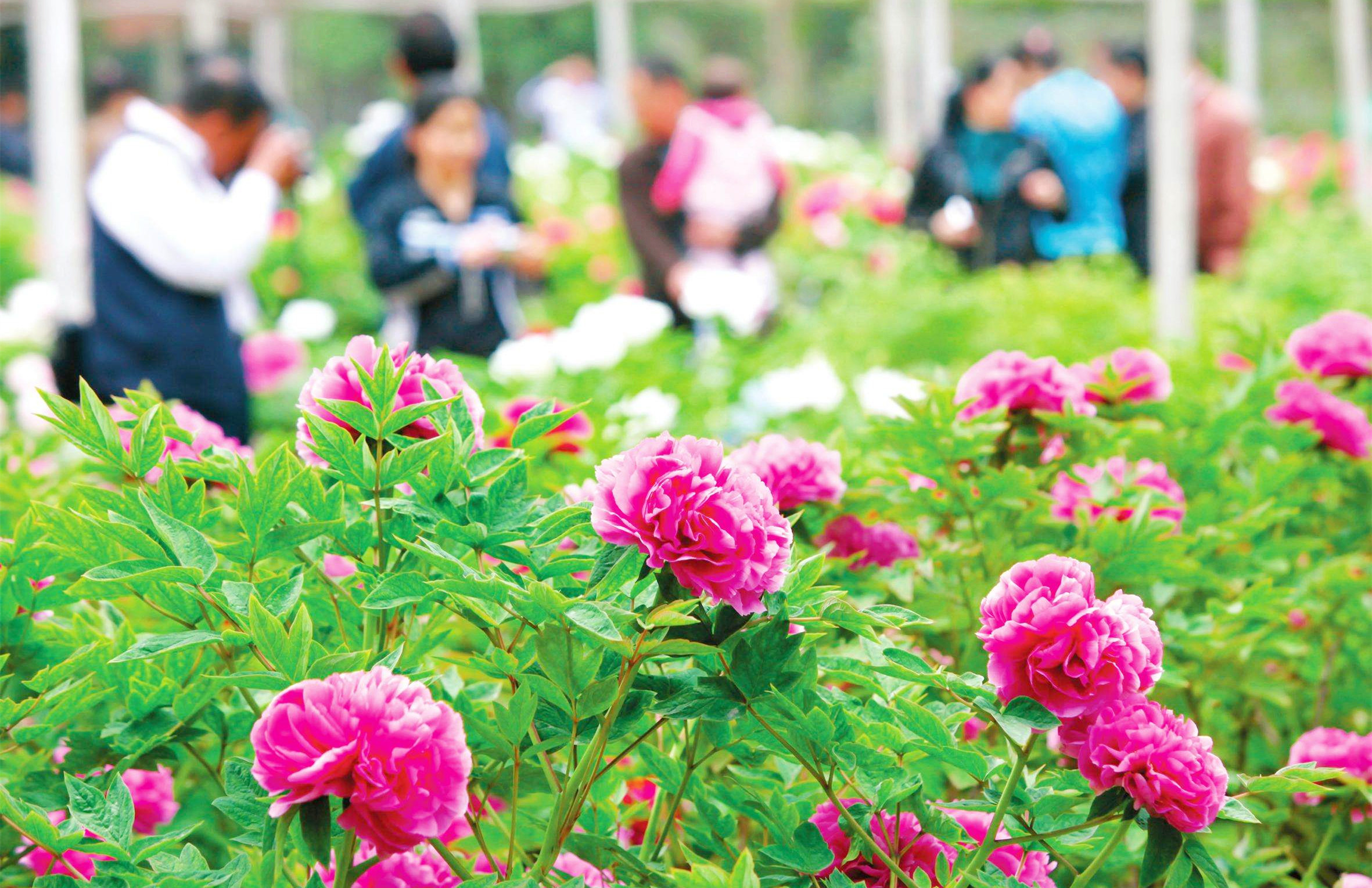 &#20061;&#24030;&#25163;&#26426;&#29256;&#30331;&#24405;&#20837;&#21475;&#45;&#20061;&#24030;&#65288;&#20013;&#22269;&#65289;&#23448;&#26041;&#32593;&#31449;
